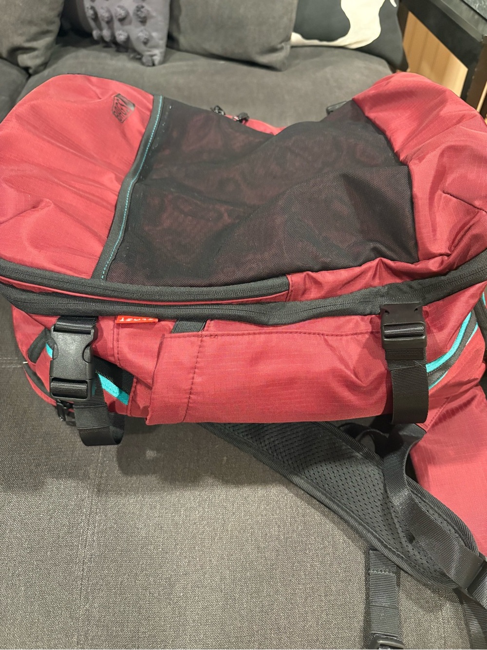 Bagsmart Carry-On Red Travel Backpack - Picture 2 of 7